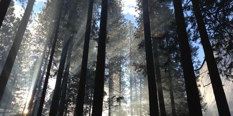 从“屏”到“芯”:特种化工材料如何点亮下一代显示技术?国产化进程与突围路径