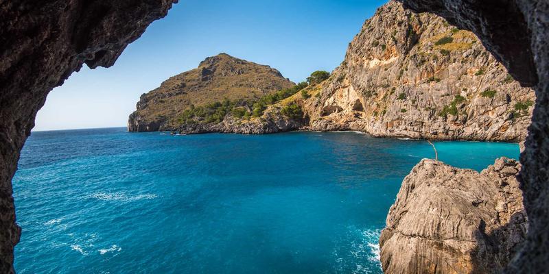 智能涂层革命：自修复、超疏水、变色涂料的化工原理与市场前瞻