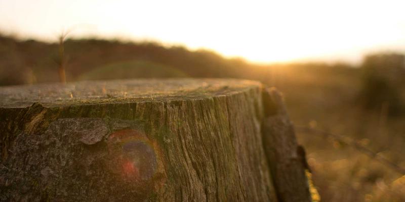 氢能储运“卡脖子”难题：福美兰通等关键化工材料的国产化突围战