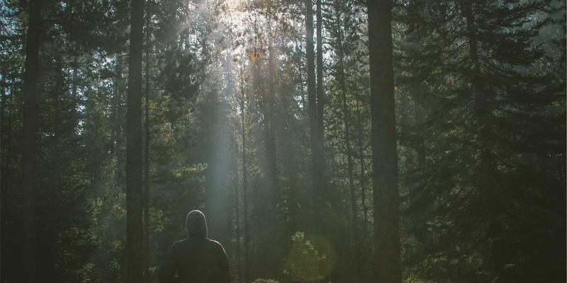 看不见的钢铁卫士:特种胶粘剂与密封材料如何守护高铁与轨道交通安全