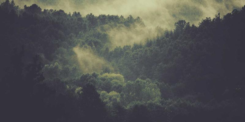 福美兰通与化学品市场透视:农药中间体行业格局与监管政策深度解析